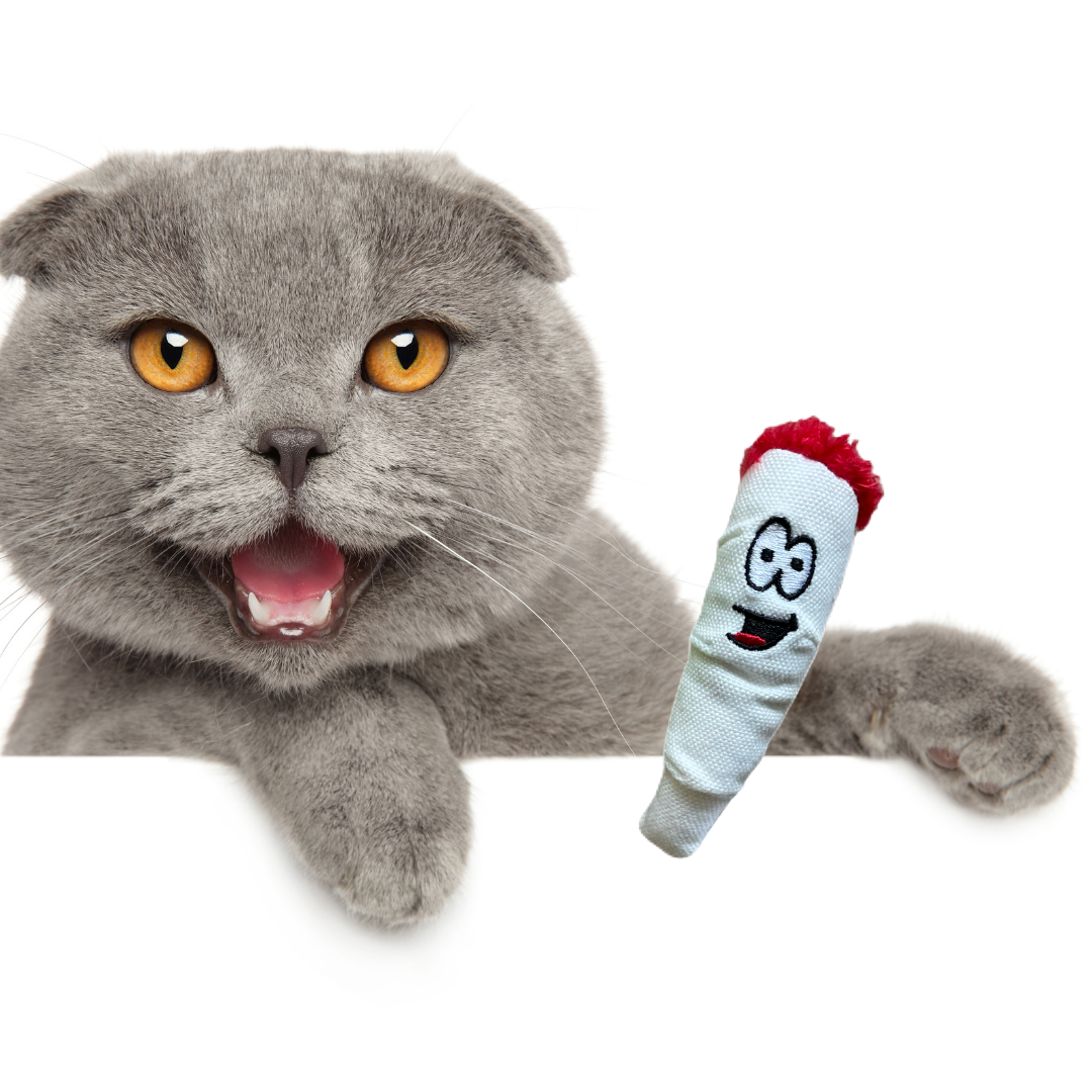 Jay Jr. the Joint 420 Cat Toy