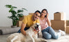 Need A Charming Friend? Buy A Dog
