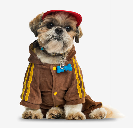 Waterproof Hoodied Raincoat