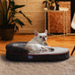 Oval Dog Bed