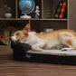 Oval Dog Bed