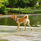 Keep Your Dog Comfortable and Secure with the Air Pro Harness