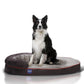 Oval Dog Bed