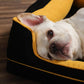 MDI Dog Sofa