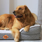 Plaid Durable Pet Sofa