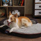 Oval Dog Bed