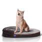 Oval Dog Bed