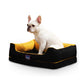 MDI Dog Sofa