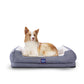 MDI Dog Sofa