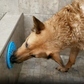 Dog Distraction Lick Mat
