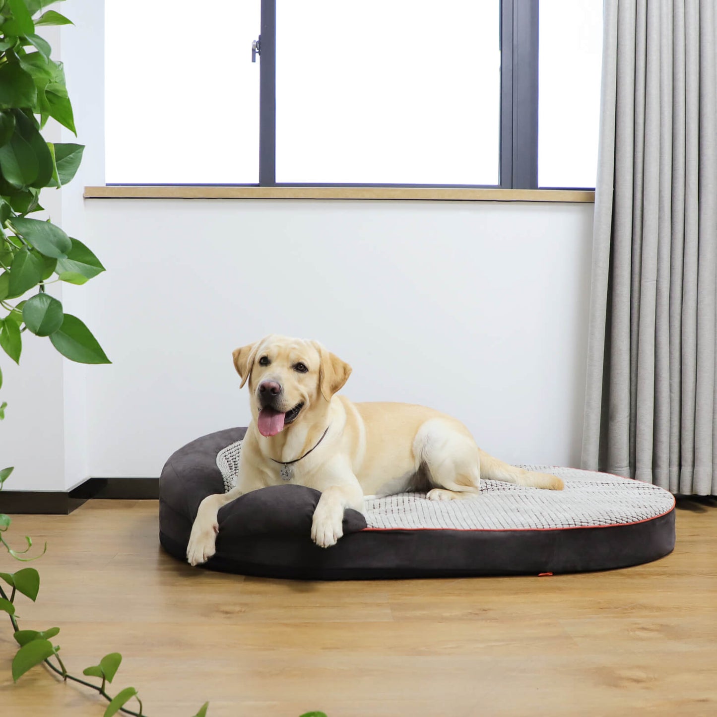 Oval Dog Bed